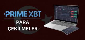 A Comprehensive Guide to Trading with PrimeXBT A Comprehensive Guide to Trading with PrimeXBT