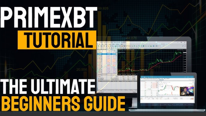 Unveiling PrimeXBT Features for Enhanced Trading Experience